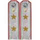 Юстиция ВМФ СССР. Генералы юстиции, погоны обр. 1943 г.